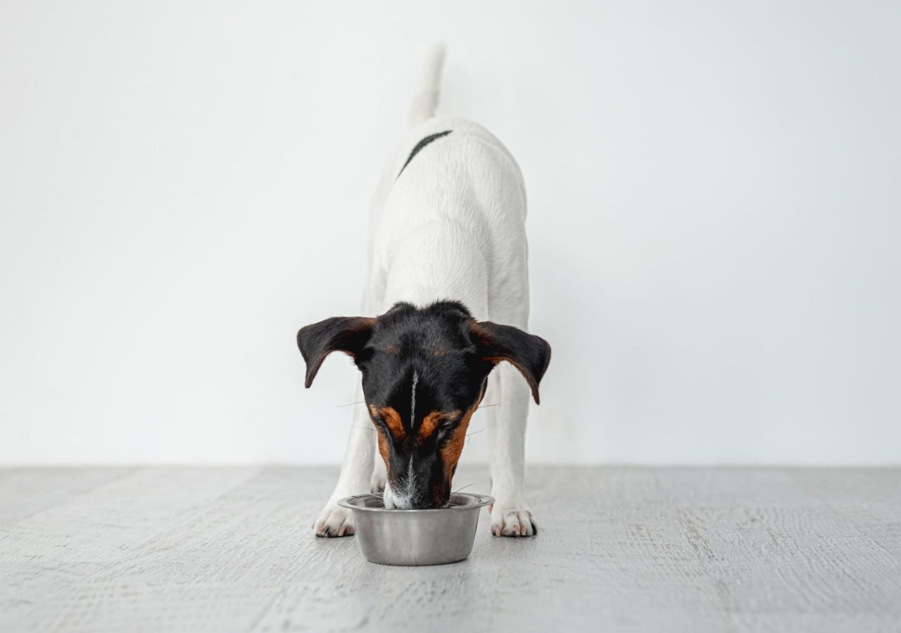 AdobeStock_367334553